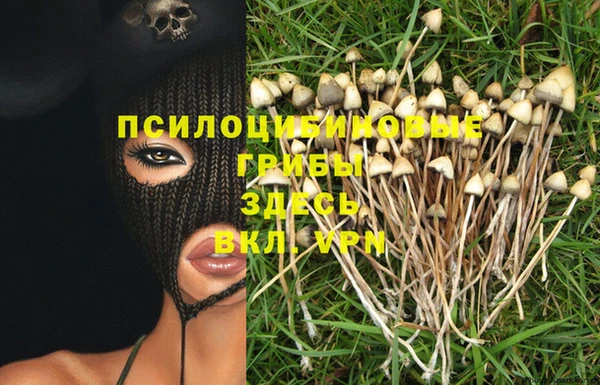 мет Медвежьегорск