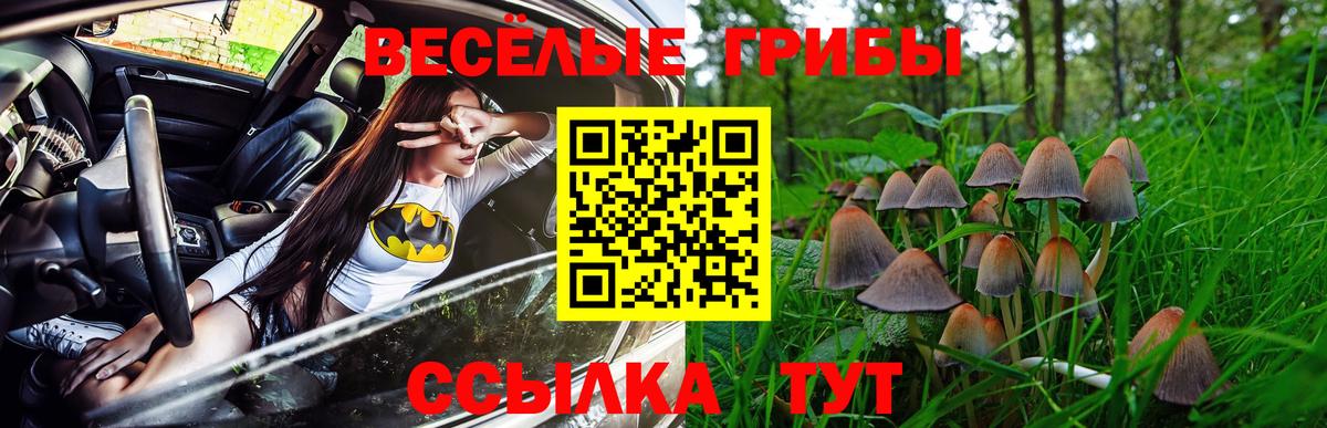 Псилоцибиновые грибы Cubensis Заречный